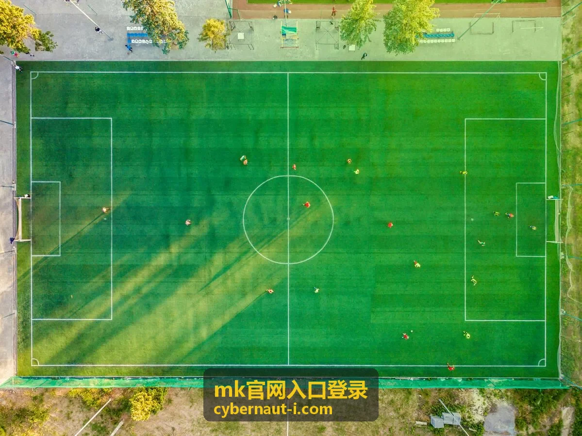 mk官网入口登录设备与浏览器配置示意图