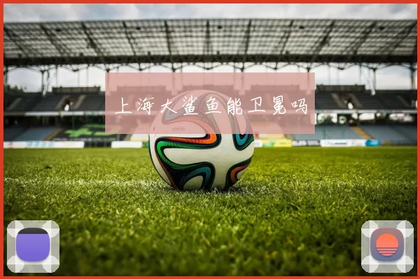 上海大鲨鱼能卫冕吗
