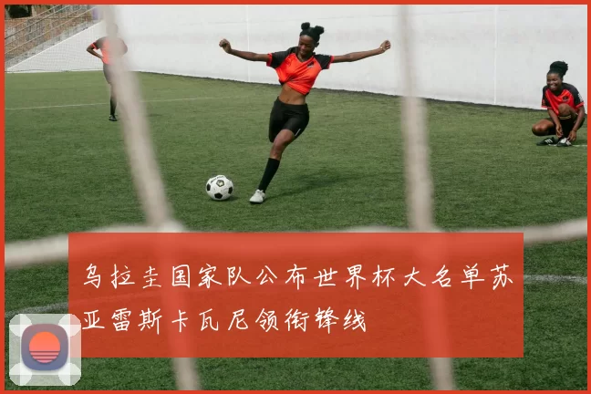 乌拉圭国家队公布世界杯大名单苏亚雷斯卡瓦尼领衔锋线