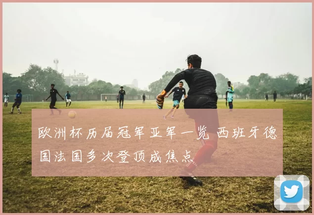 欧洲杯历届冠军亚军一览 西班牙德国法国多次登顶成焦点