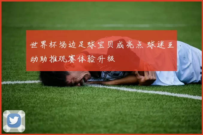 世界杯场边足球宝贝成亮点 球迷互动助推观赛体验升级