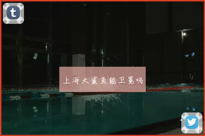 上海大鲨鱼能卫冕吗