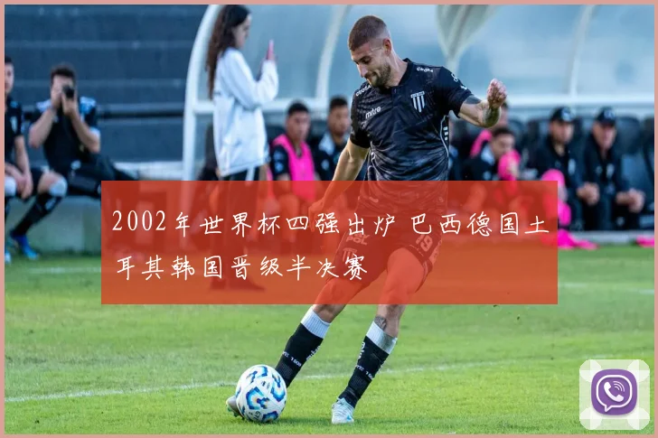 2002年世界杯四强出炉 巴西德国土耳其韩国晋级半决赛