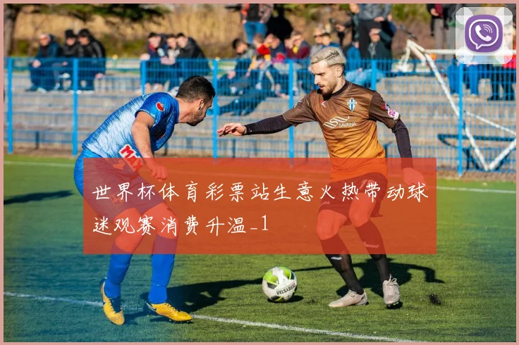 世界杯体育彩票站生意火热带动球迷观赛消费升温_1