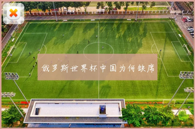 俄罗斯世界杯中国为何缺席